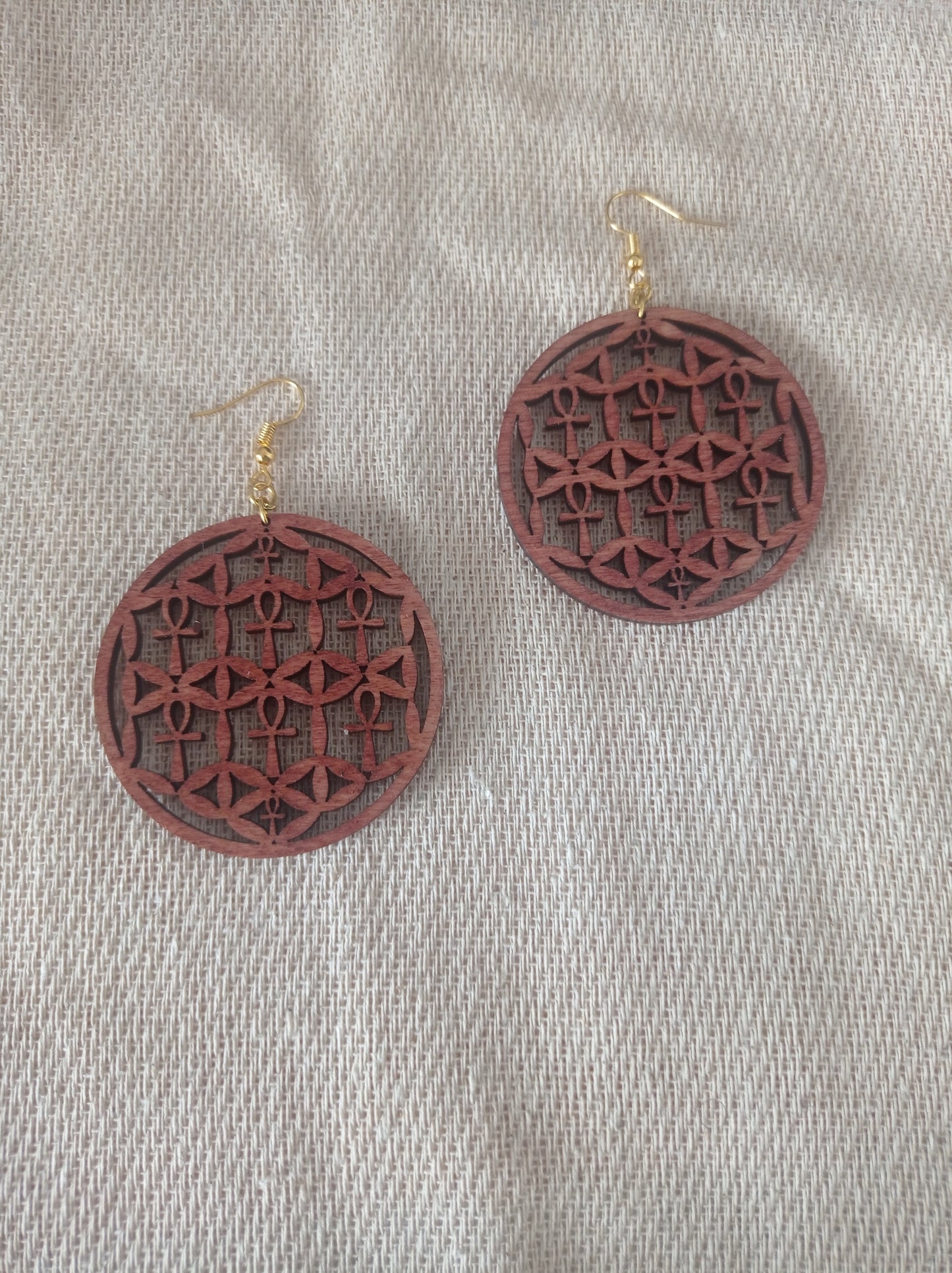 Circle of Life Earrings